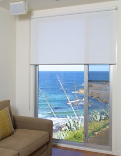 Vividshade Premium Sunscreen Roller Blinds