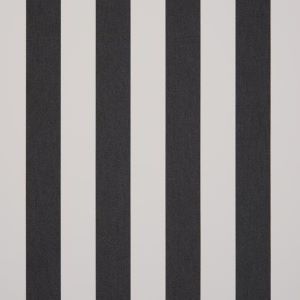 Black White Stripe