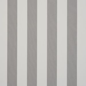 Grey Stripe