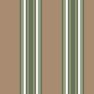 2227 stripe