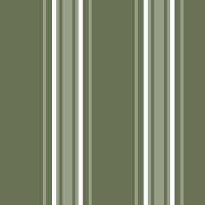2234 stripe