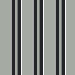 5002 stripe