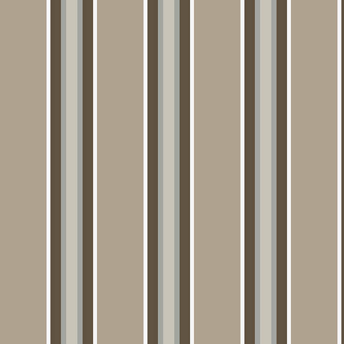 5003 stripe